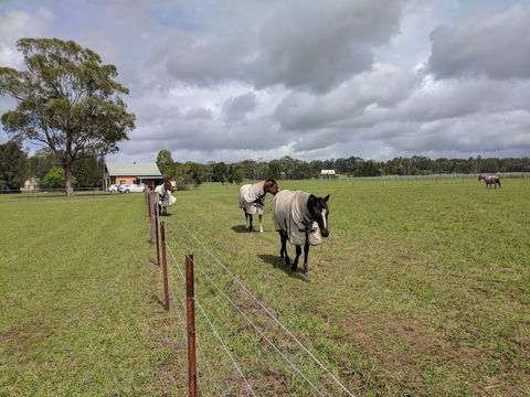 Madigan Wine Country Cottages - Hobart Tourism 9