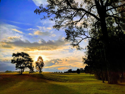 Madigan Wine Country Cottages - Hobart Tourism 11