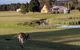 Madigan Wine Country Cottages - thumb 6
