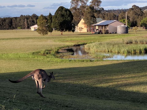 Madigan Wine Country Cottages - Hobart Tourism 6