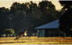 Madigan Wine Country Cottages - thumb 5