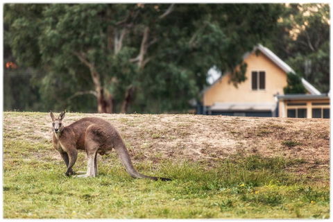 Madigan Wine Country Cottages - Hobart Tourism 4