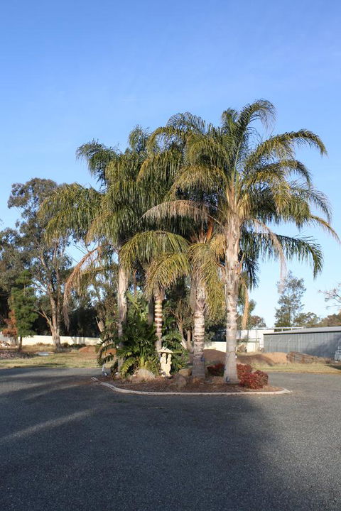 Temora Motel - Tourism TAS 6