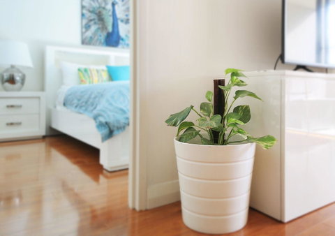 Sydney Apartment Close To Airport & CBD - Tourism TAS 7