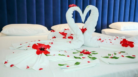 Luxury Home Hotel Next To Darling Harbour - Tourism TAS 16
