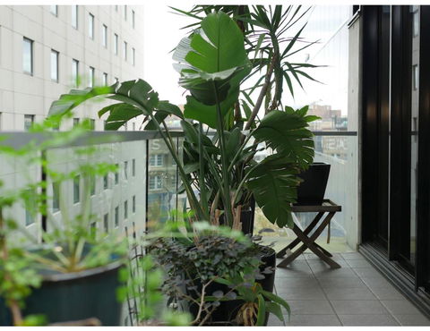 Urban Loft Close To Sydney Hot Spots - Tourism TAS 11