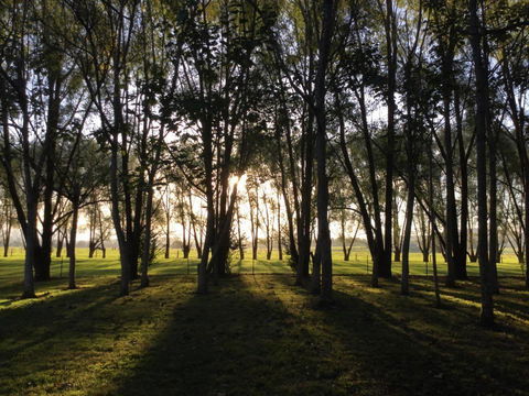 Moruya Motel - Tourism TAS 39