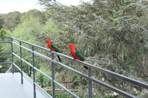 Bundanoon Lodge - Tourism TAS 7