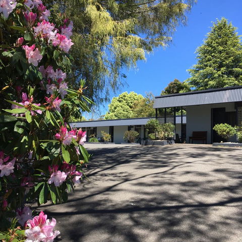 Sky Rider Motor Inn - Hobart Tourism 14