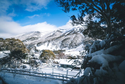 Pure Chalet Thredbo - Tourism TAS 31