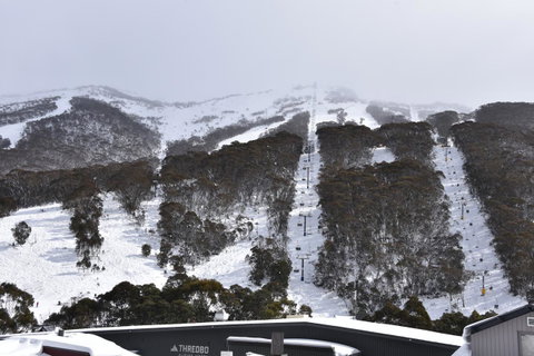 Pure Chalet Thredbo - Tourism TAS 6