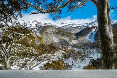 Pure Chalet Thredbo - Tourism TAS 17