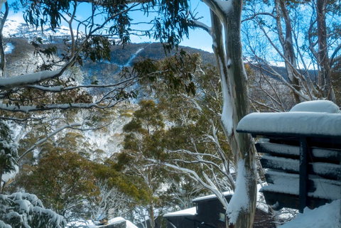 Pure Chalet Thredbo - Tourism TAS 30