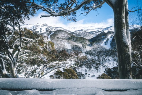 Pure Chalet Thredbo - Tourism TAS 2