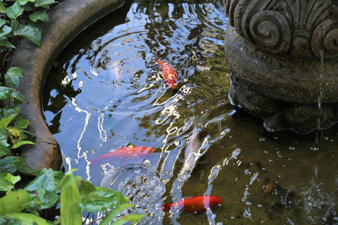 Manor Boutique Hotel Sydney - Tourism TAS 25