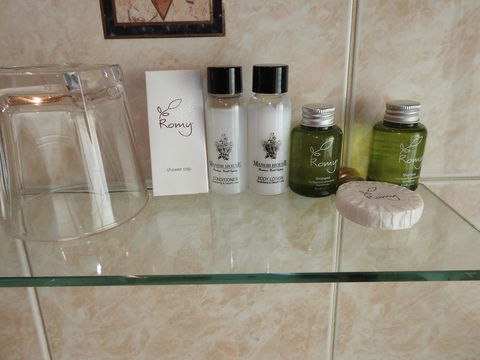 Manor Boutique Hotel Sydney - Tourism TAS 10