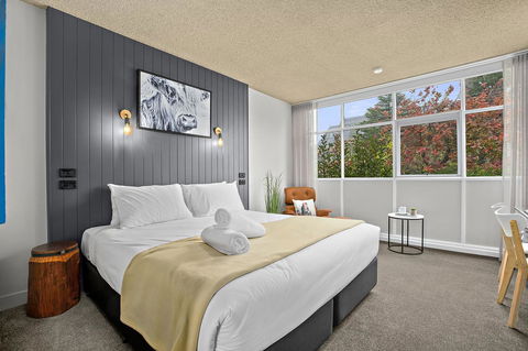 City Centre Motel Armidale - Tourism TAS 8