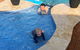 Beaches Serviced Apartments - thumb 14