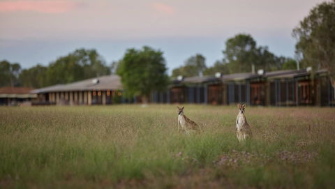 Wildman Wilderness Lodge - Hobart Tourism 0