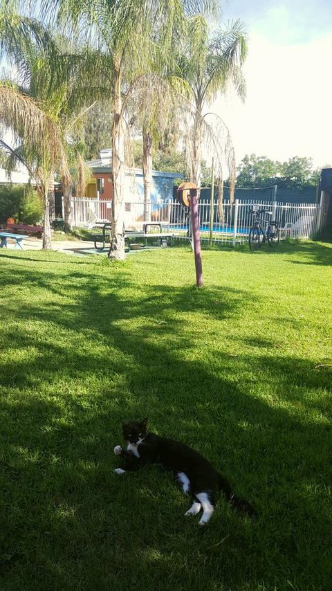 Alice Lodge - Tourism TAS 26