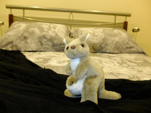 Rock Wallaby - Tourism TAS 17