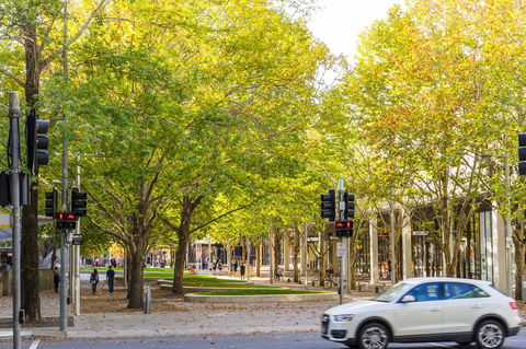 Highgate Executive Apartment City Walk Canberra - Hobart Tourism 37