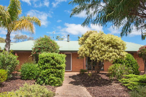 Bottlebrush - Tourism TAS 1