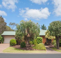 Bottlebrush - Tourism TAS