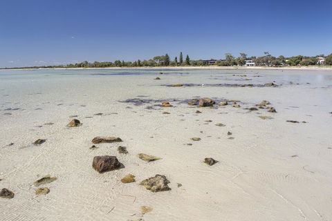 Bottlebrush - Tourism TAS 2