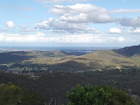 Bottletree Gardens - Mini Manson Blue - Hobart Tourism 2