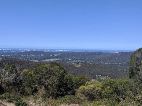 Bottletree Gardens - Mini Manson Blue - Hobart Tourism 1