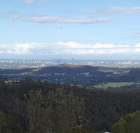 Bottletree Gardens - Mini Manson Blue - Hobart Tourism