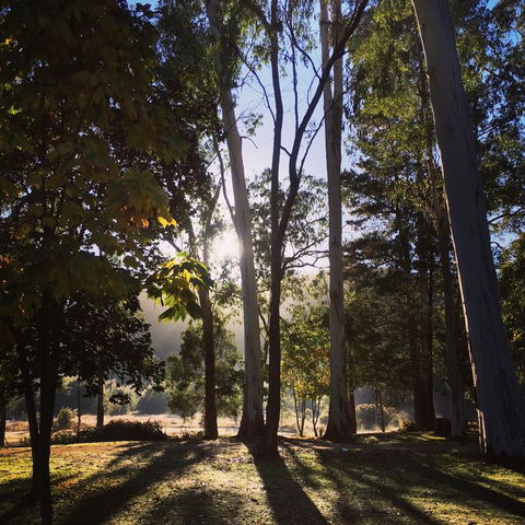 Bright Cabin Park - Tourism TAS 3