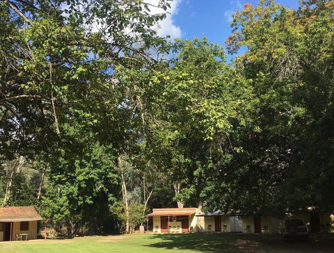 Bright Cabin Park - Tourism TAS 1