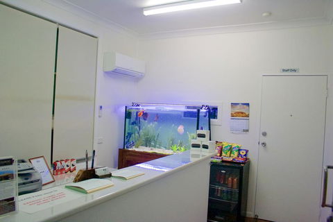 Buckaroo Motor Inn - Tourism TAS 1