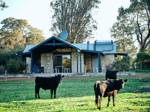 Burnside Organic Farm - Tourism TAS 2