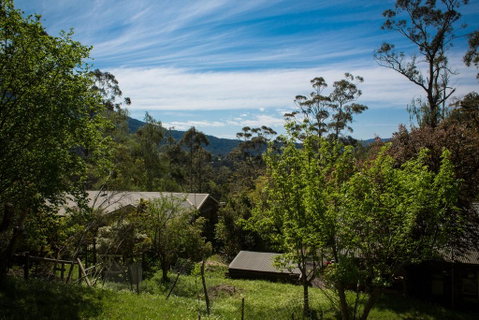 Buttercup Hill - Tourism TAS 2