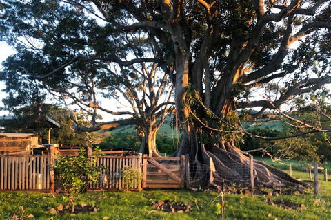 BYRON BAY'S HISTORIC BARNSTAY! - Hobart Tourism 2
