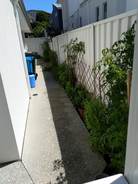 C'est La Vie - Hobart Tourism 2