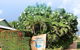 Cable Beachside Villas - thumb 0