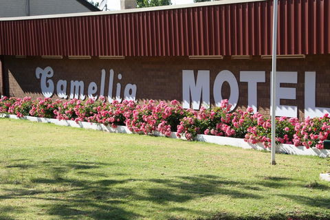 Camellia Motel - Tourism TAS 2