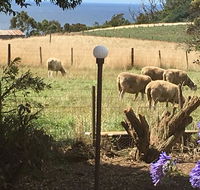 Cape View B and B - Tourism TAS