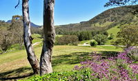 Book Capertee Accommodation Vacations Tourism TAS Tourism TAS