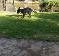Captain's Cottage Bed  Breakfast - Hobart Tourism