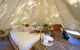 Castlemaine Gardens Luxury Glamping - thumb 1