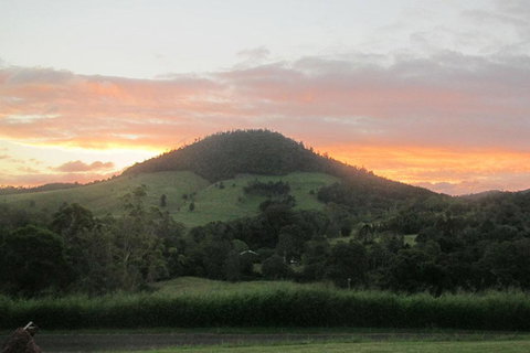 CBR Equine Cottage - Tourism TAS 1