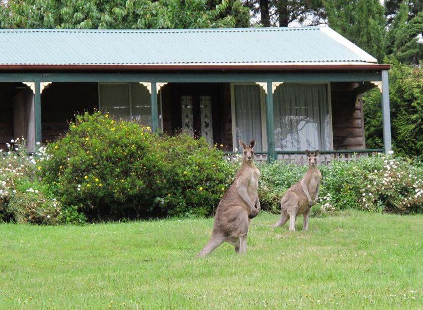 Mount Victoria NSW Hobart Tourism