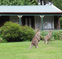 Cedar Lodge Cabins - Hobart Tourism