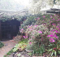 Charming country house close to Grafton - Hobart Tourism