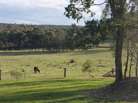Charolais Cottage - Hobart Tourism 3